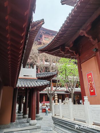 这个假期，我有了很多新鲜回忆，记录下来分享给大家～#