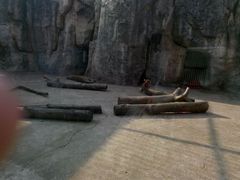 android_upload_pic-南昌动物园