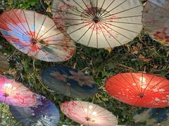-海韵人家.海景花园经典云南菜(双廊店)