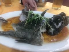 老虎斑-蚝专家(北滘店)