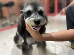 -FAELING PETS美天灵宠物(合生汇店)