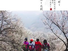 -马王庙刀削面馆(四川省交通学院宿舍店)
