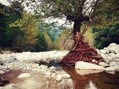 -黑河国家森林公园