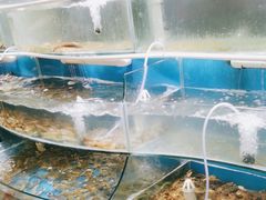 -四海蒸鲜蒸汽海鲜自助(北戴河店)