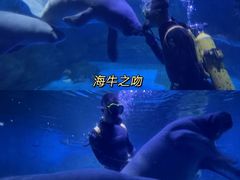 -烟台海昌鲸鲨海洋公园