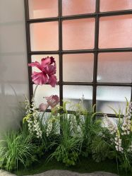 -广州美莱医疗美容医院