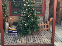 -百好乐宠物友好餐厅(朝外大街店)