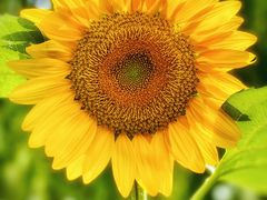 -野鸭湖国家湿地公园