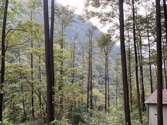 -藏龙百瀑风景区