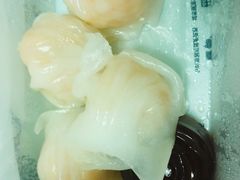 虾饺-稻香酒家·33年老字号·港式粤菜(富邦中心店)