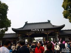 -南汇桃花村