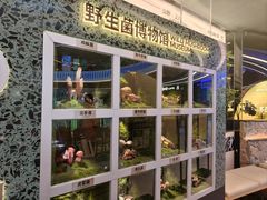 -芸山季·云南山珍菌火锅(南翔印象城MEGA店)