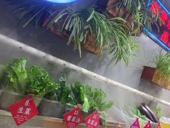 -塘屋烧烤·云南火塘烧烤品牌(联盟路店)