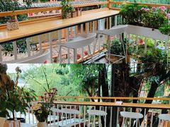 -猫的天空之城概念书店(束河店)