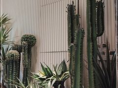 -虾佬圣汤·海鲜姿造(乐堤港店)