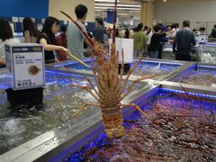 澳洲龙虾-盒马X会员店(上海森兰商都店)