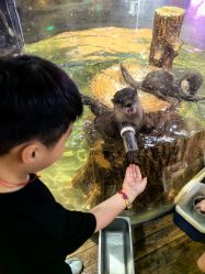 -Zoolung Zoolung动物主题公园(海信广场店)