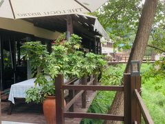 -Local泰莲庭(虹鳟鱼店)