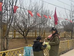 -1982农场