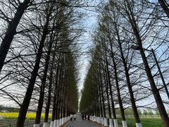 -嘉北郊野公园
