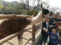 -西安秦岭野生动物园
