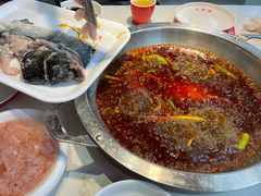 深水花鲢鱼-蜀滋香鲜鱼美蛙火锅(339店)