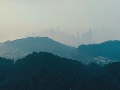 -大金鹰园