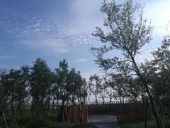 -春花秋色城市公园