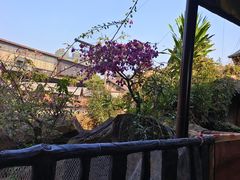-长鹿旅游休博园