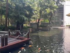 -Waterfall瀑布湾优健源(华侨城店)