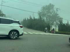 -海驴岛(荣成市)