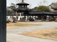 -扬州大运河文化旅游度假区·盆景园