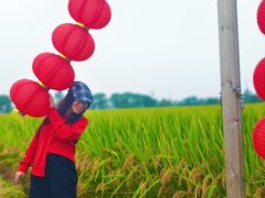 -嘉北郊野公园
