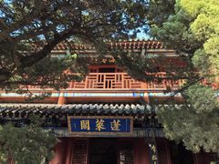 -渔码头食府(蓬莱阁店)
