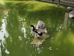 -舜耕山庄四时万和自助餐厅