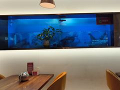 -老板恋上鱼(印象城店)