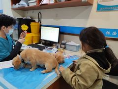 -艾贝尔宠物医院·24H转诊中心·肿瘤猫专科(江宁双龙店)