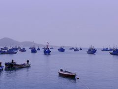 -海源公园