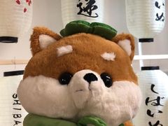 -柴迷FANS CLUB·柴犬狗咖·猫咖