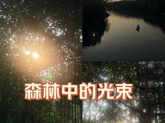-海珠湖公园