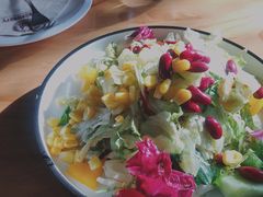 田园时蔬沙拉-布拉格餐厅· 中欧捷克菜(全国首店)