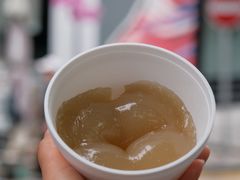 蔗汁糕-公利真料竹蔗水(中环店)
