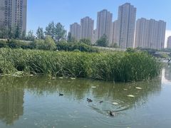 -前关湿地公园