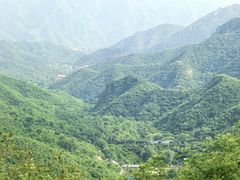 -大岭沟猕猴桃谷风景区
