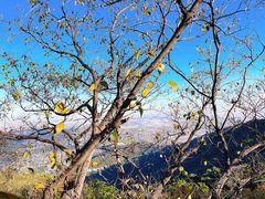 -香山公园