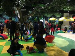 -中国宋庆龄青少年科技文化交流中心