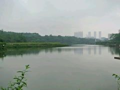 android_upload_pic-广西壮族自治区药用植物园