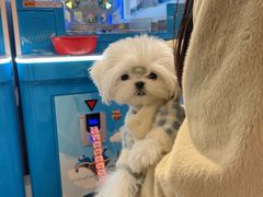-爱玩嘉年华(江北一店)
