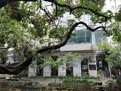 -小洲村
