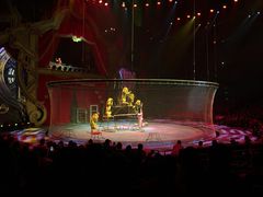 -珠海横琴长隆《卡卡虎奇遇记》